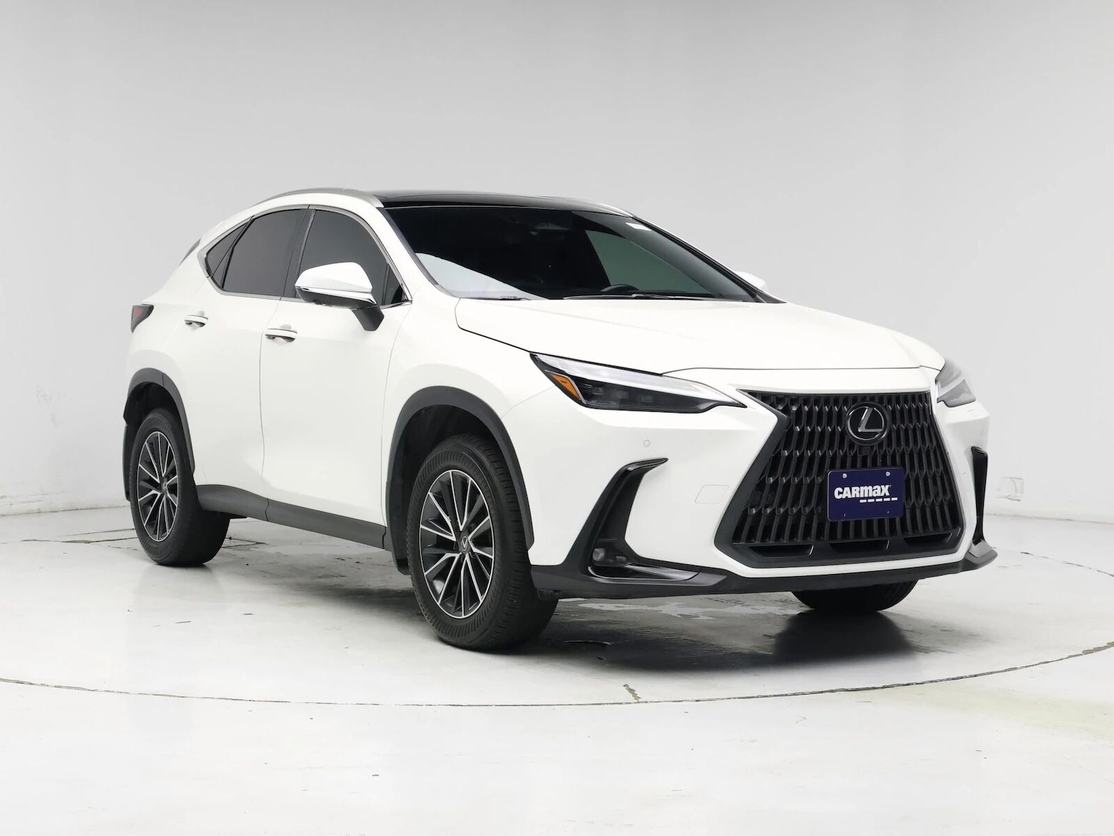 2024 Lexus NX