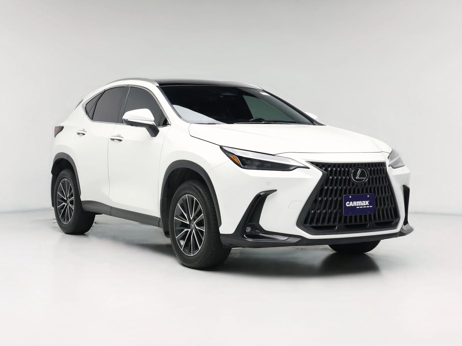 2024 LEXUS NX