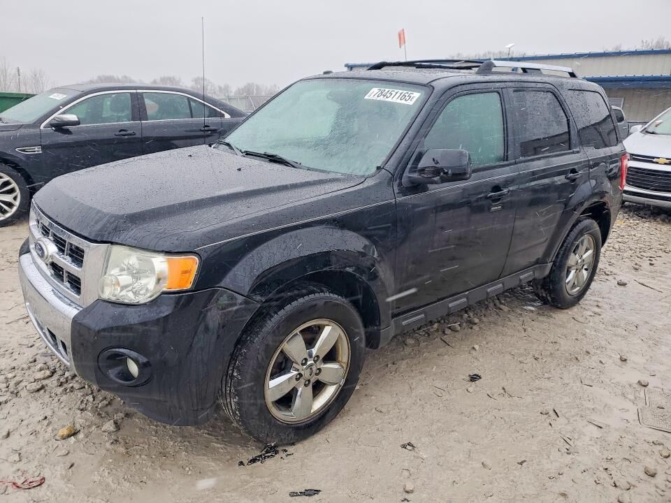 2010 FORD Escape