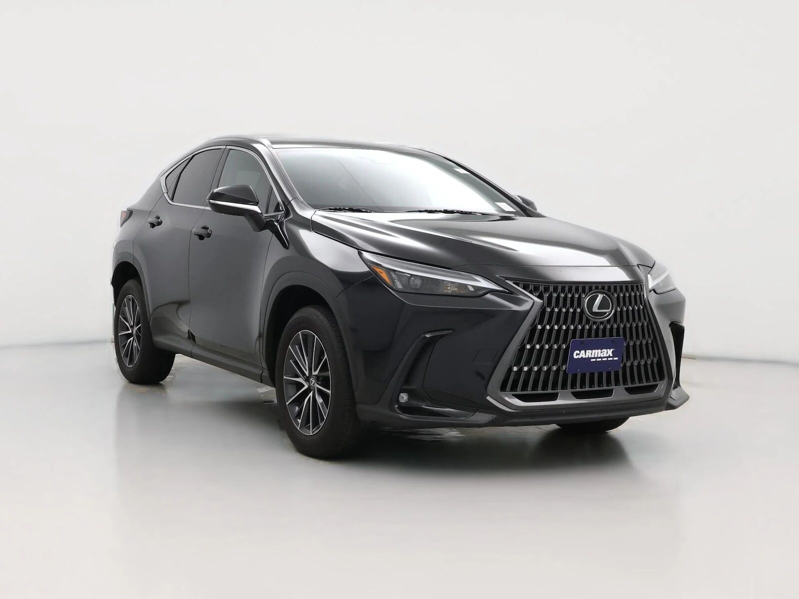 2024 LEXUS NX