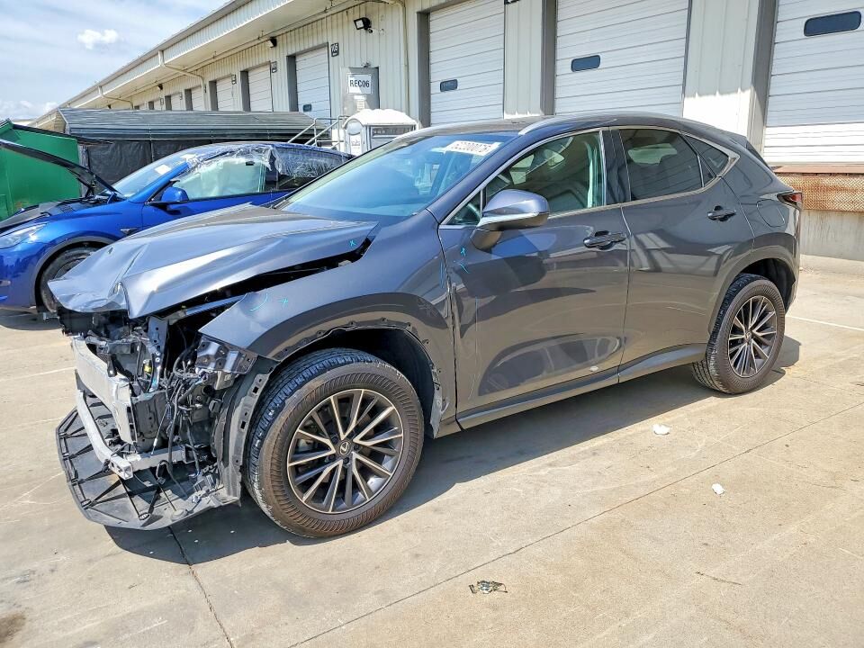 2024 LEXUS NX