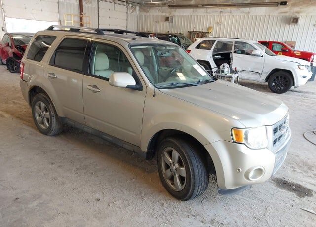 2010 FORD Escape