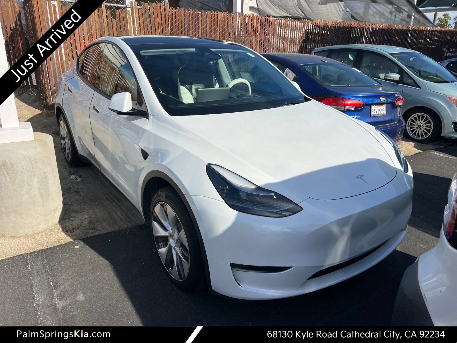 2023 TESLA Model Y