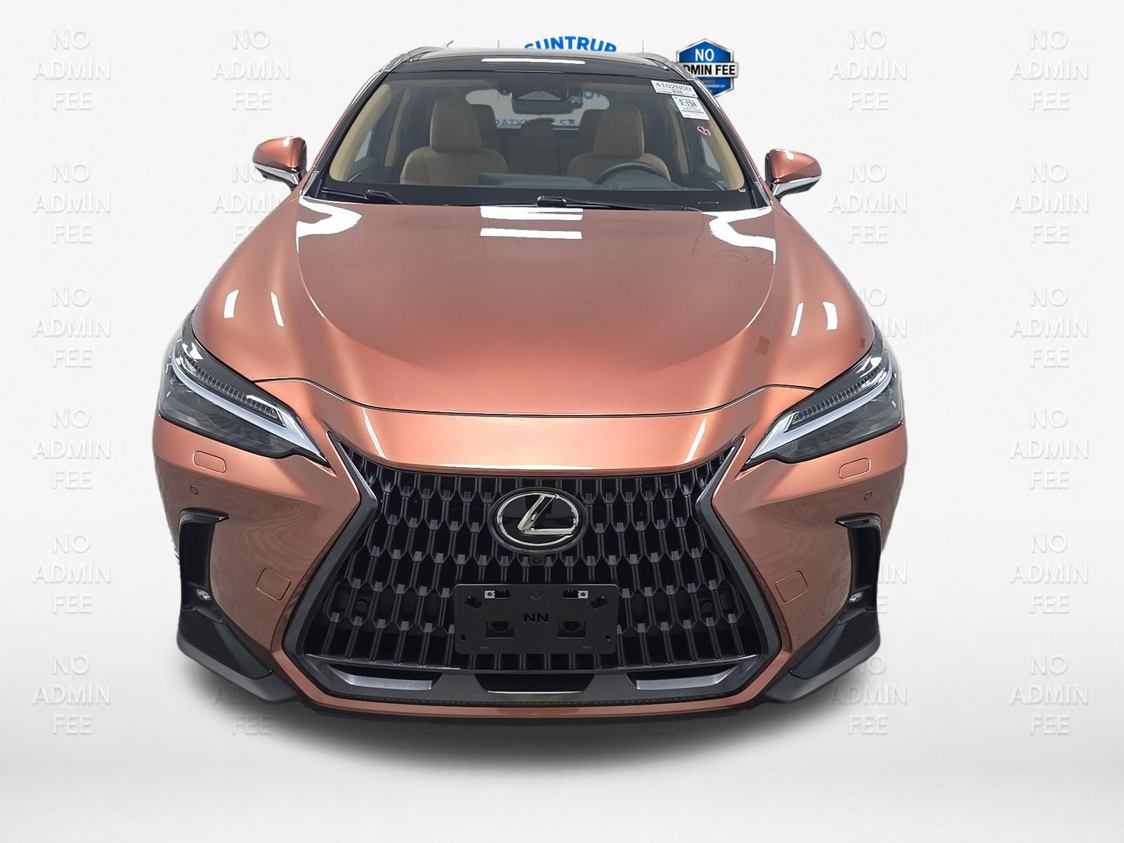 2025 Lexus NX