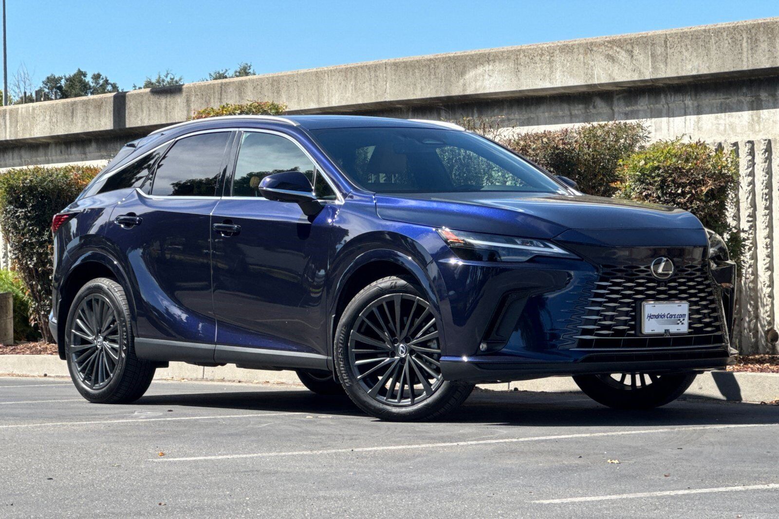 2025 Lexus RX