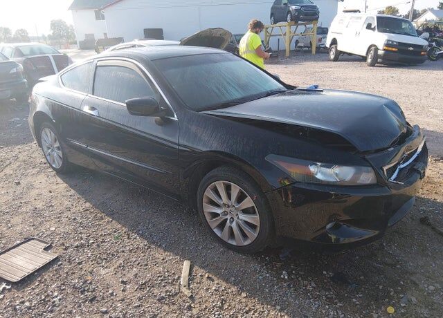 2010 HONDA Accord