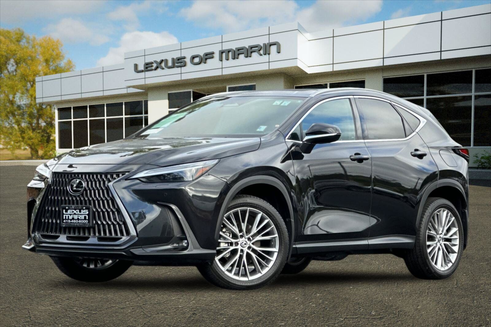 2023 LEXUS NX