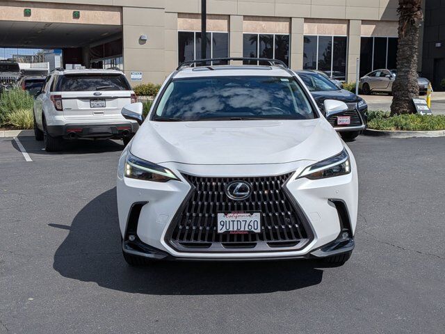 2025 Lexus NX