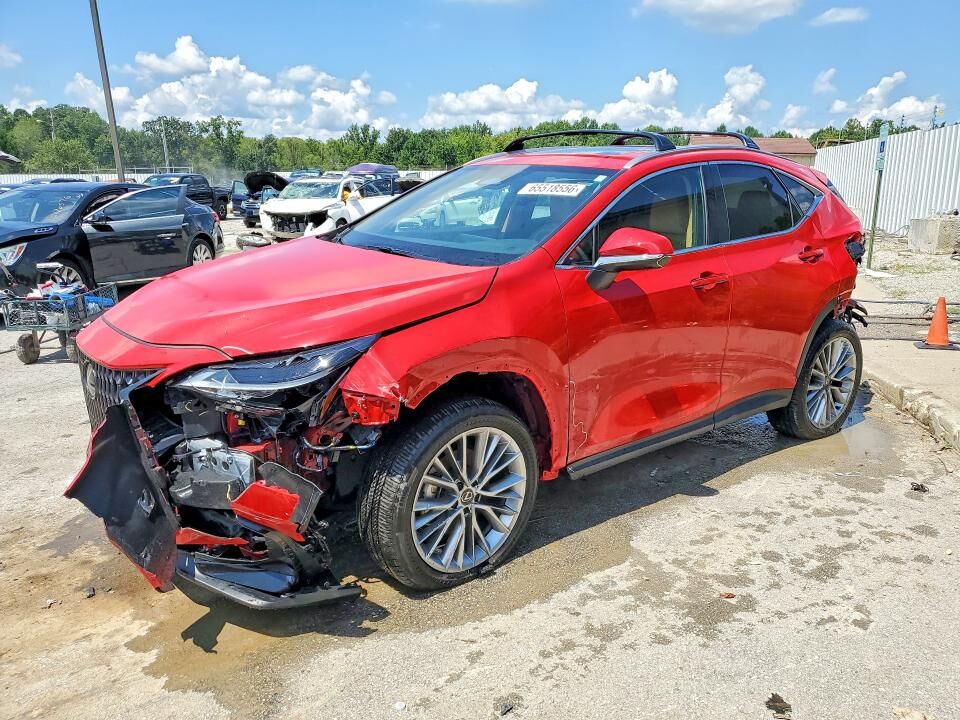 2025 LEXUS NX