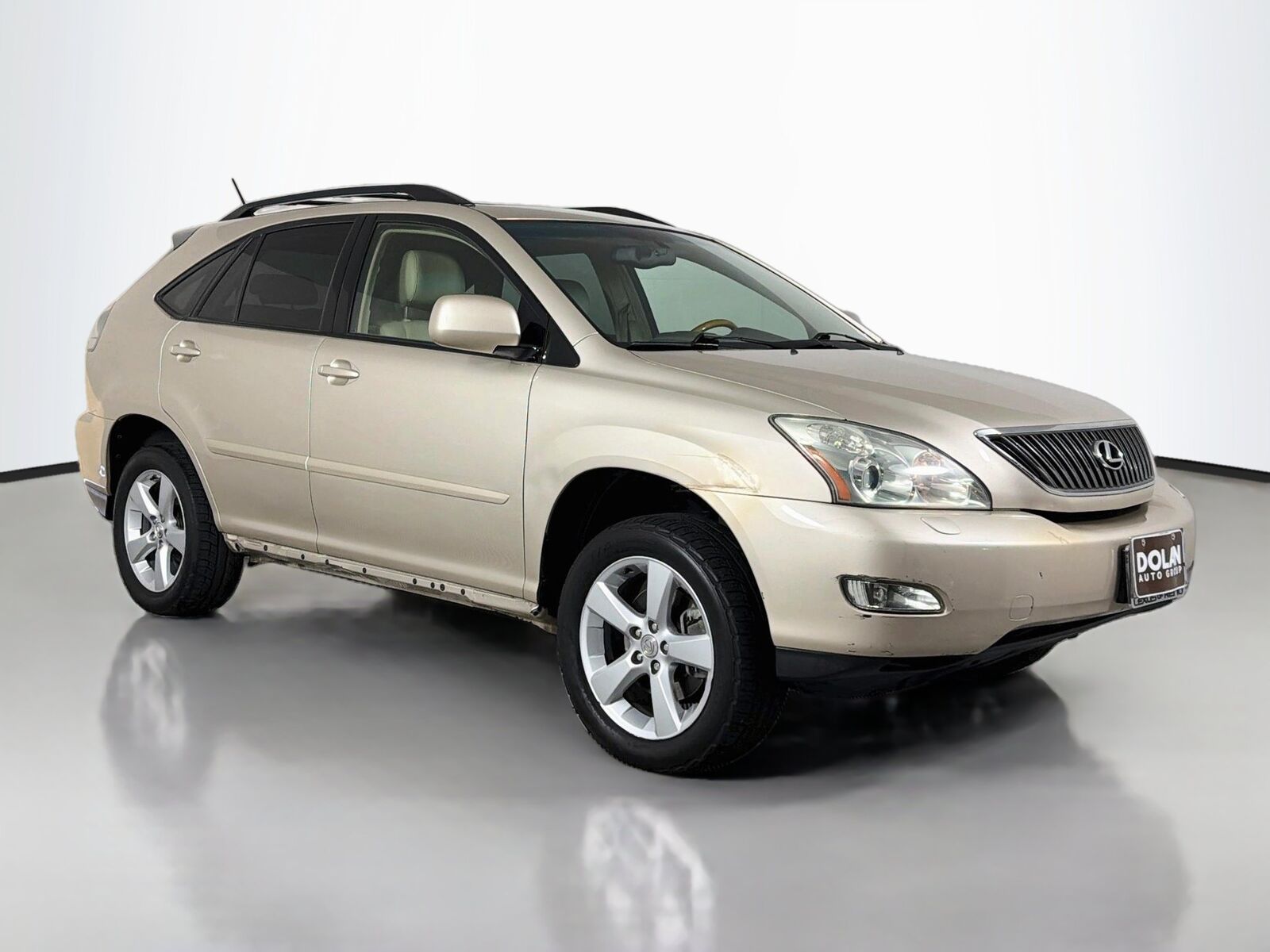 2004 Lexus RX