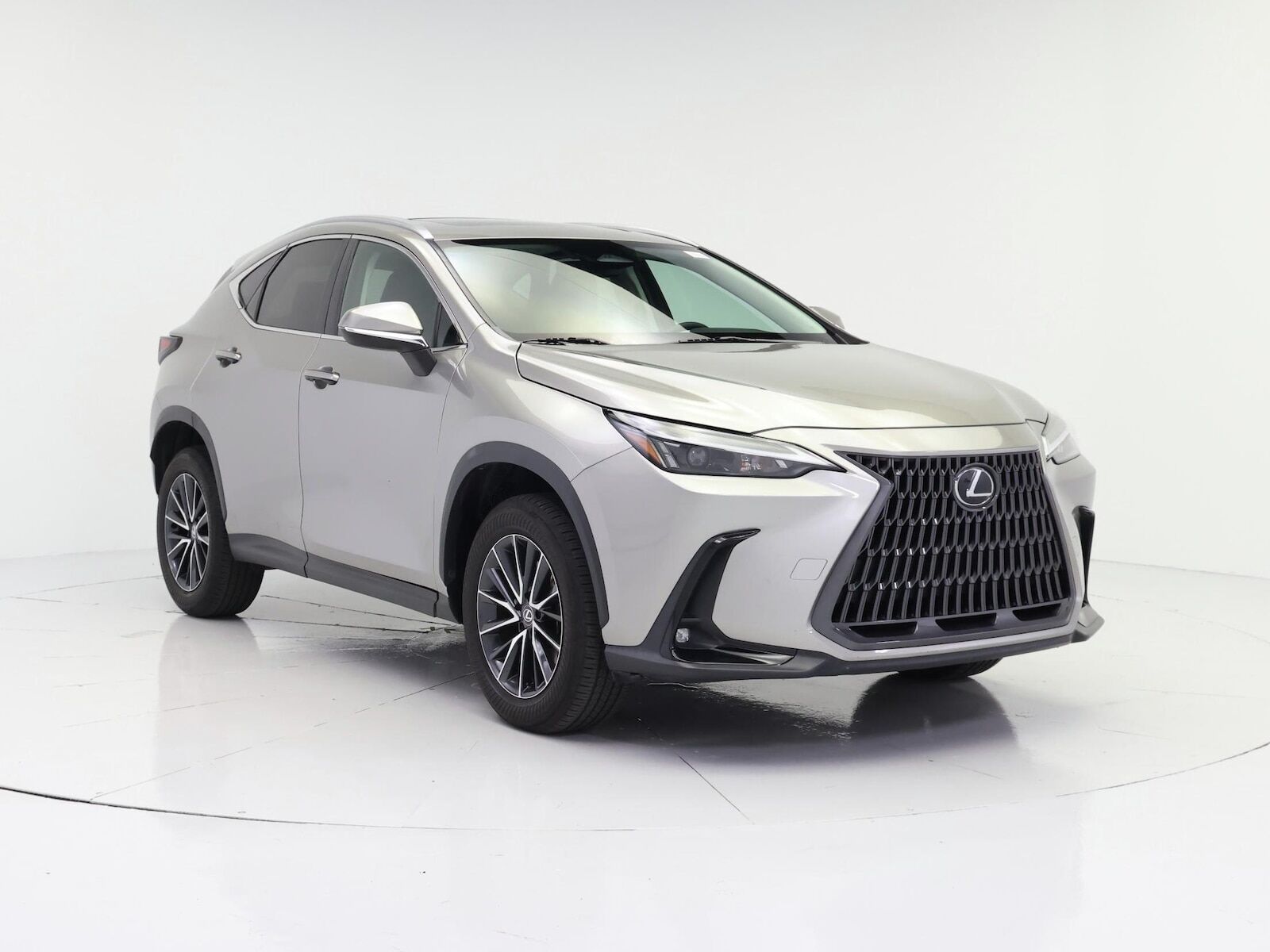 2024 Lexus NX