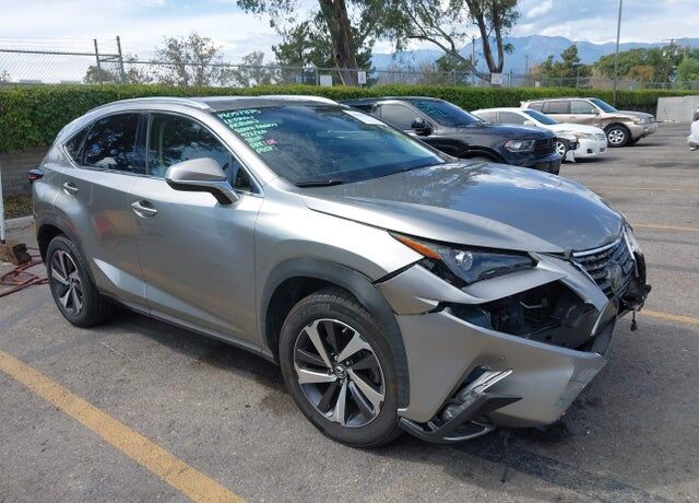 2019 LEXUS NX