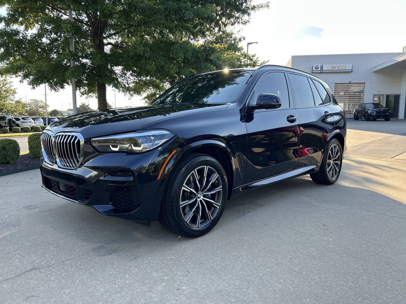 2023 BMW X5