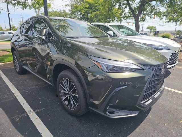 2025 Lexus NX