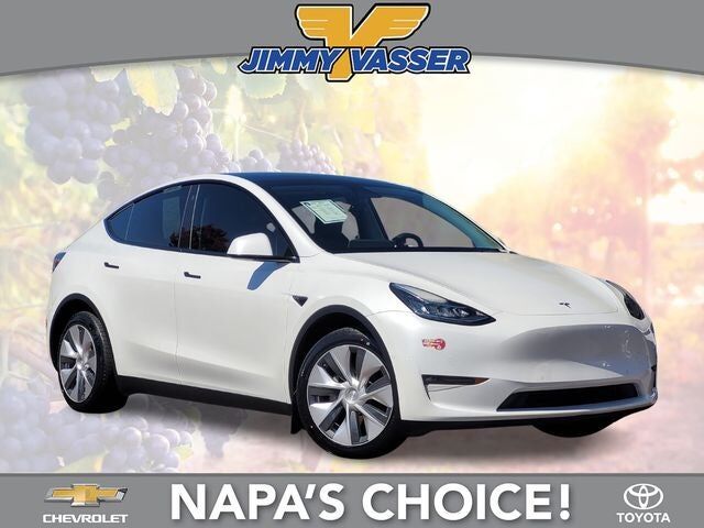 2021 TESLA Model Y