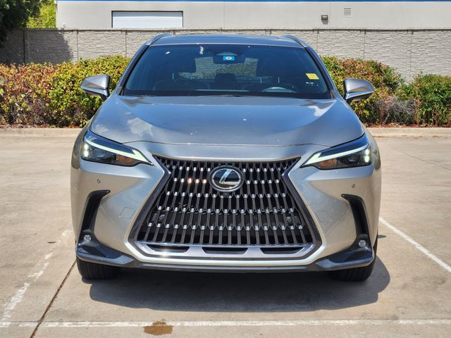 2023 Lexus NX