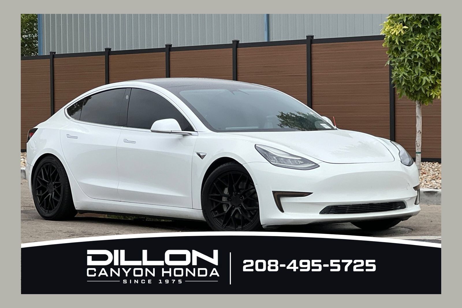 2020 TESLA Model 3