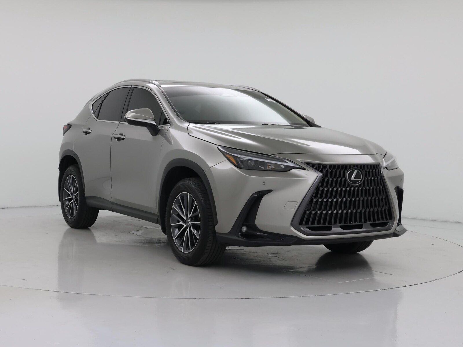 2025 Lexus NX