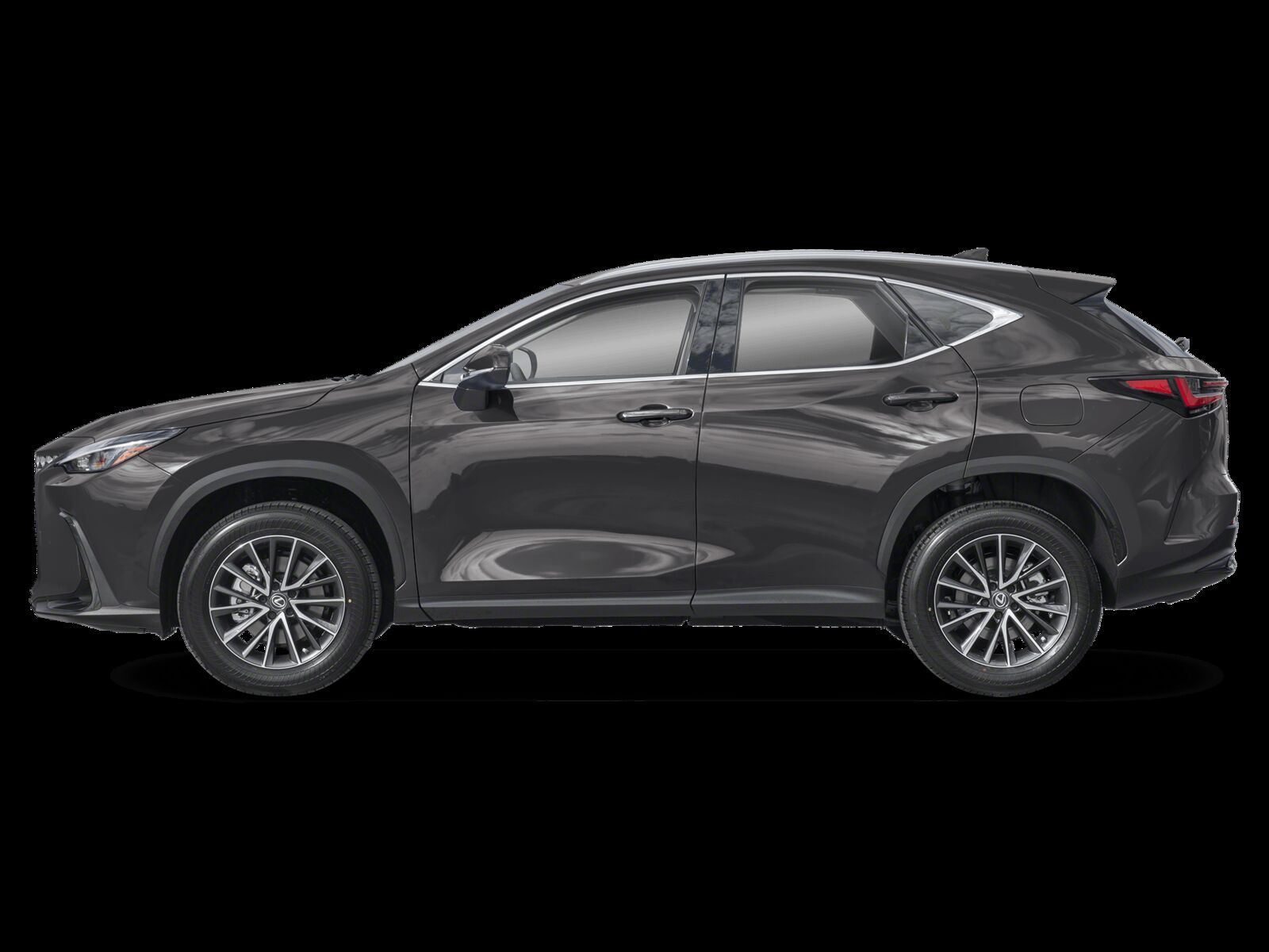 2025 Lexus NX