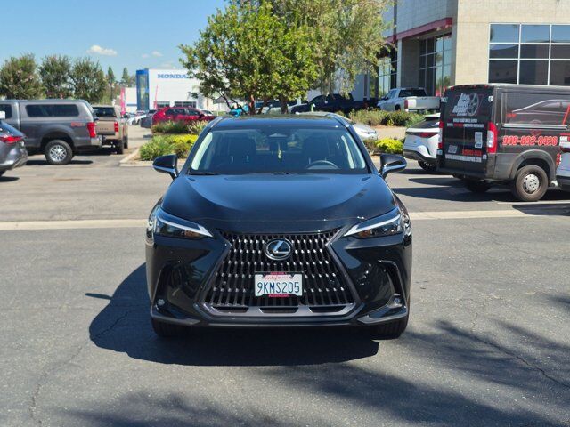 2024 Lexus NX