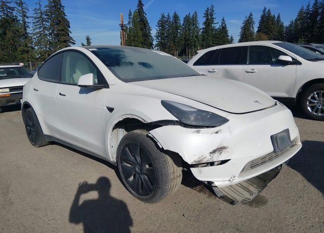 2025 TESLA Model Y