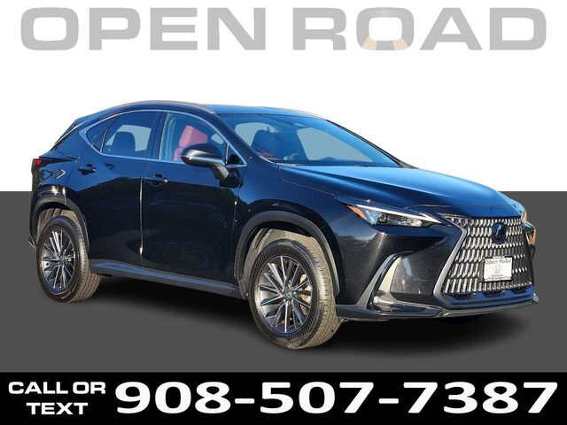 2024 LEXUS NX