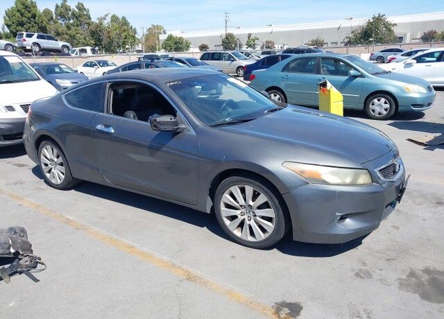 2010 HONDA Accord