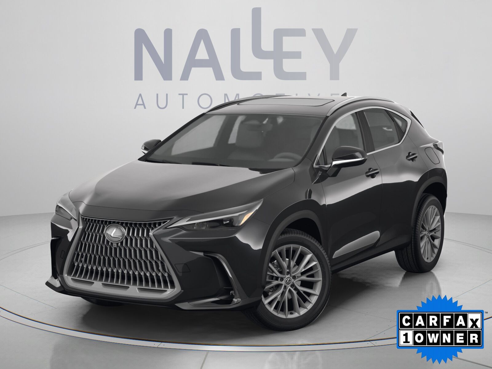 2025 LEXUS NX
