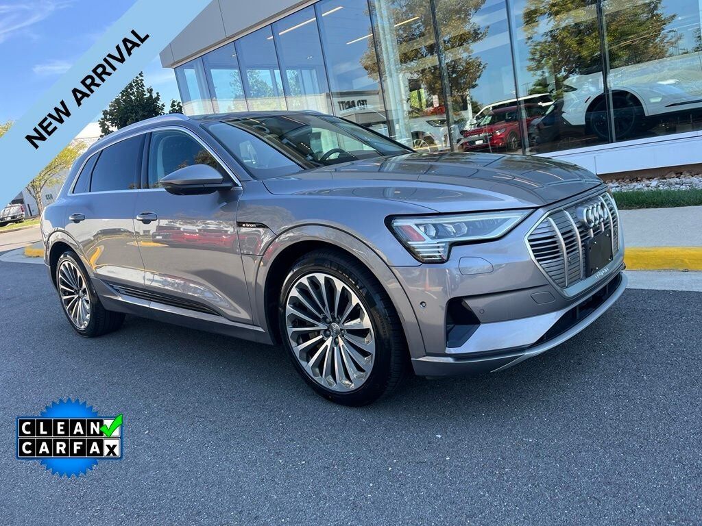 2019 AUDI e-tron