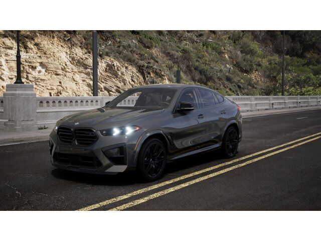 2026 BMW X6