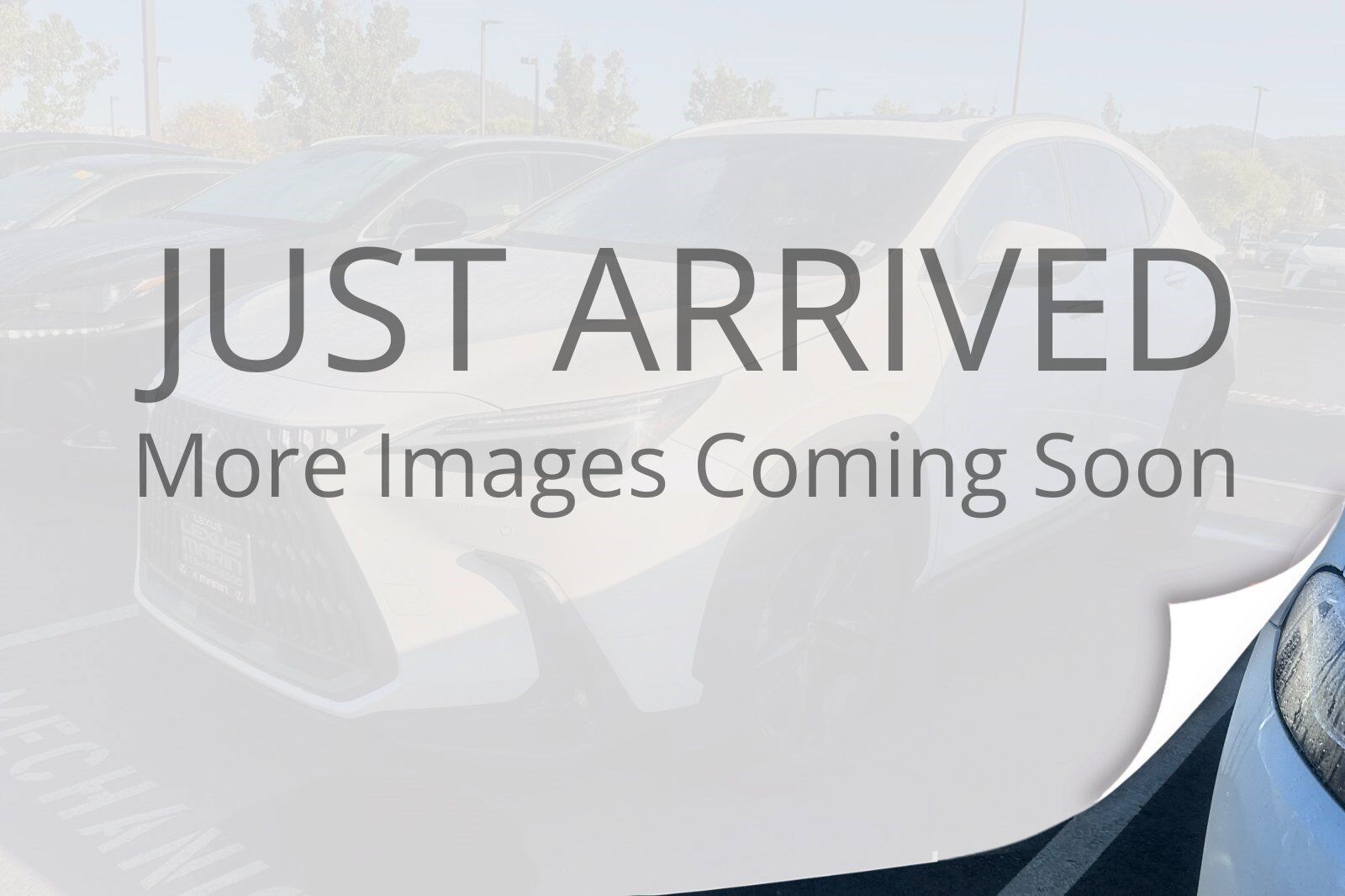2024 Lexus NX