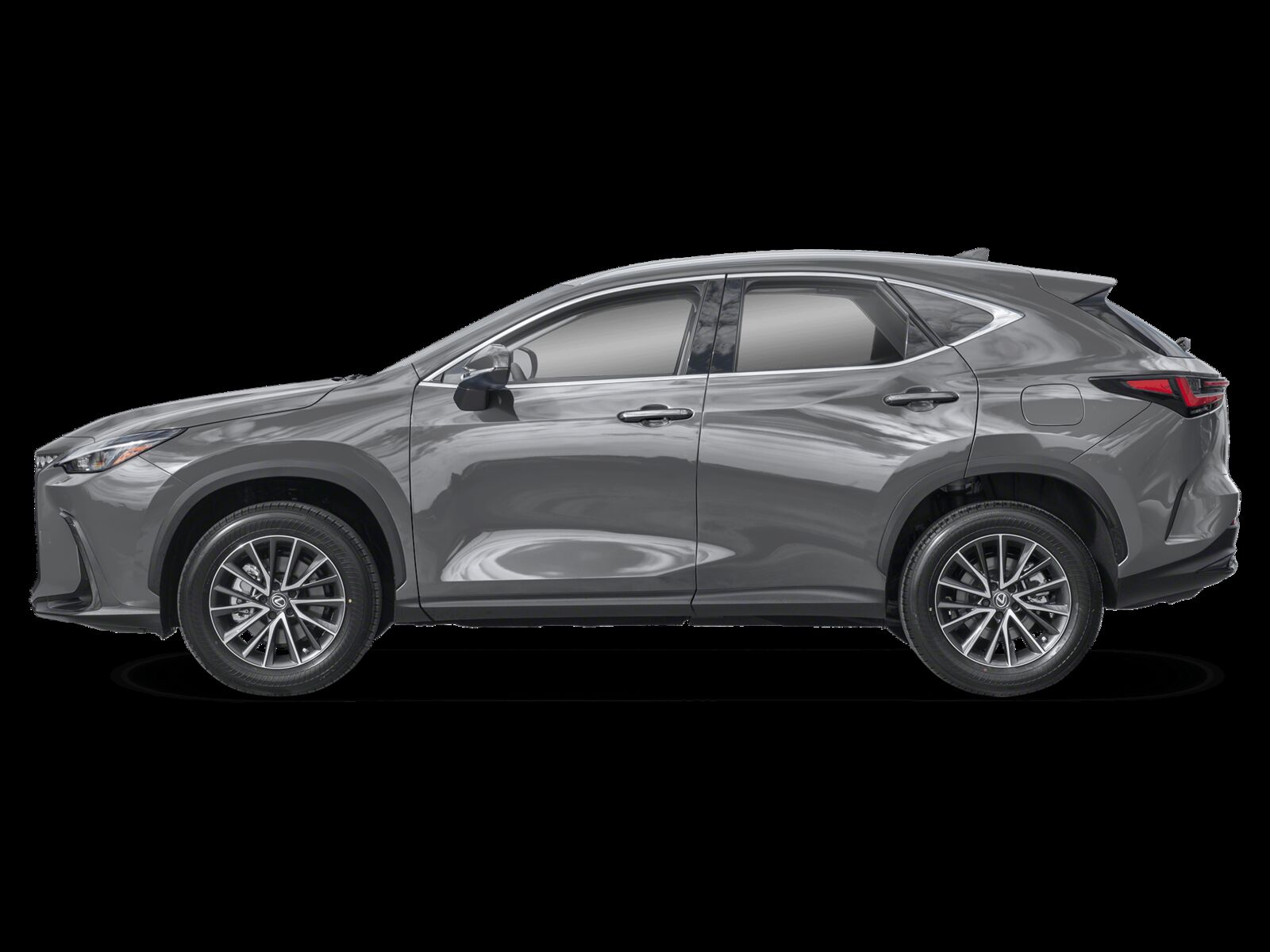 2025 Lexus NX