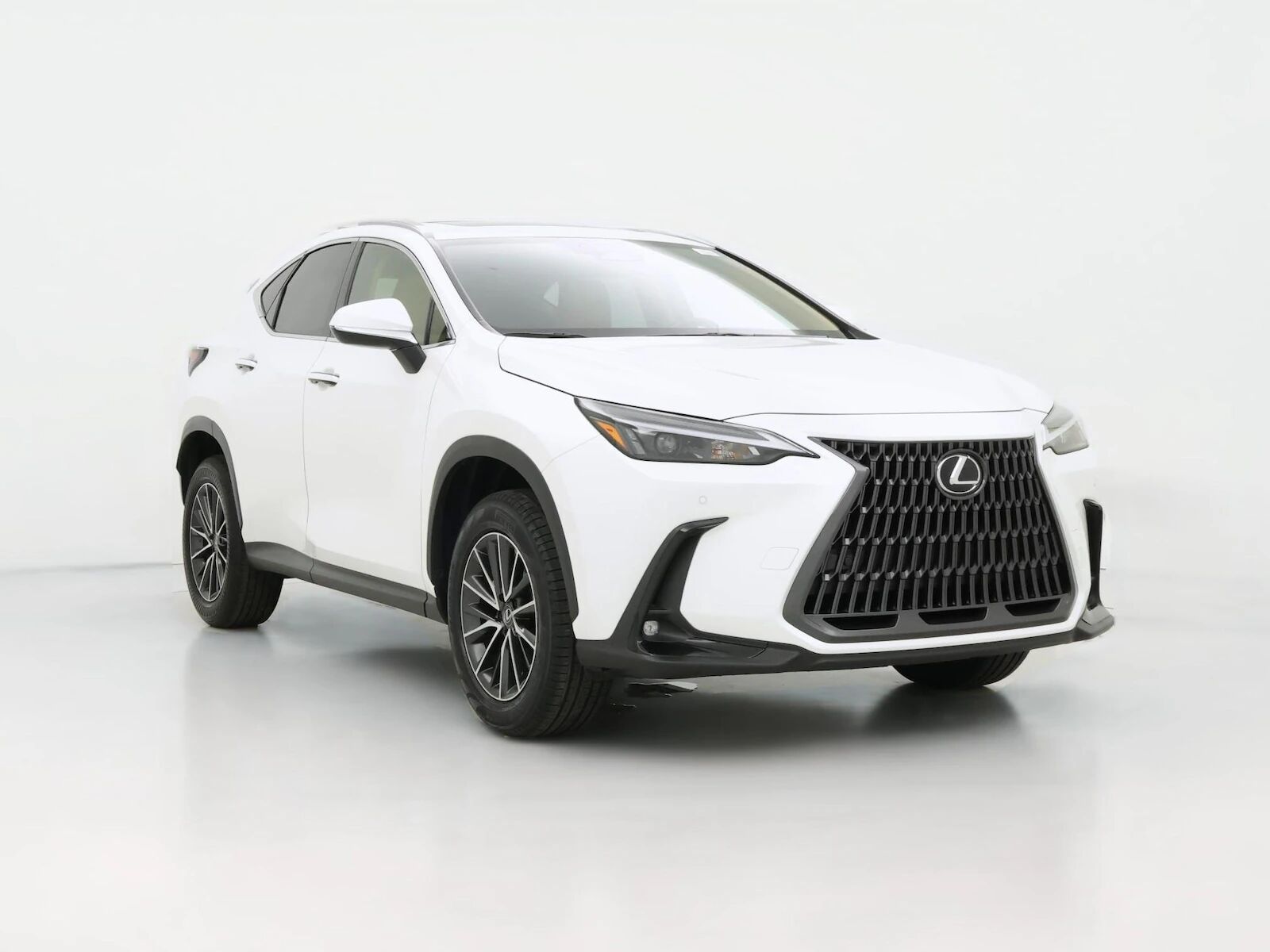 2025 LEXUS NX