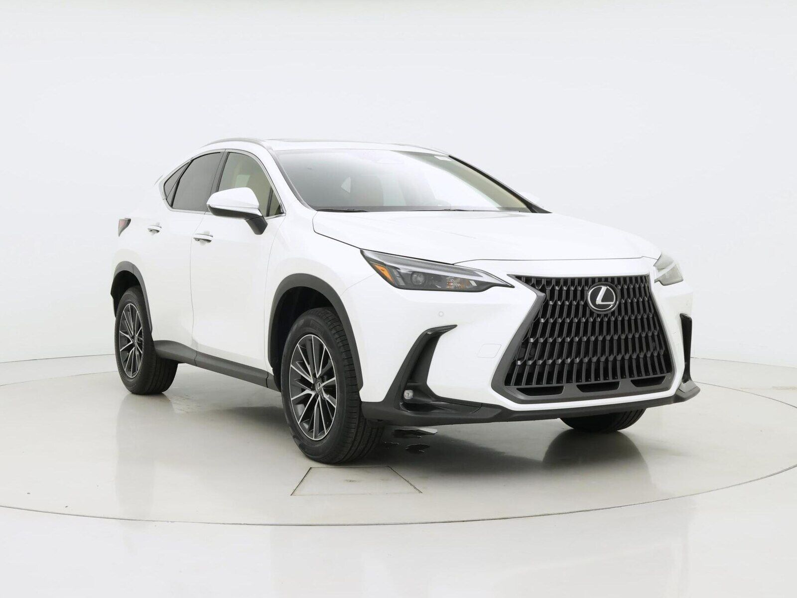 2025 Lexus NX