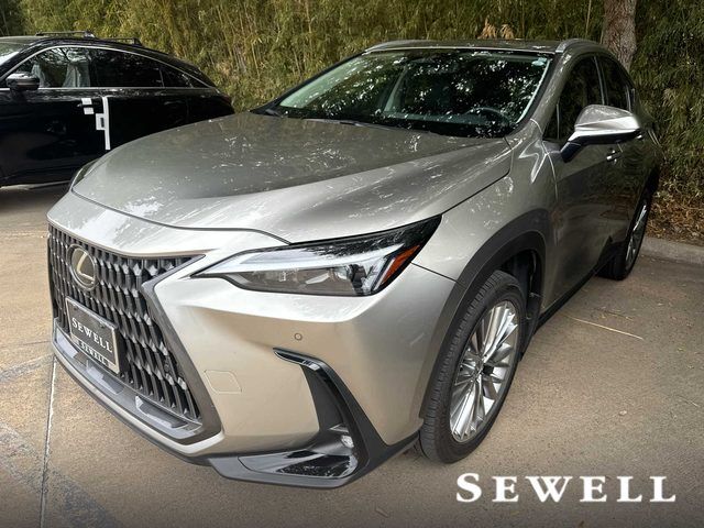 2025 Lexus NX