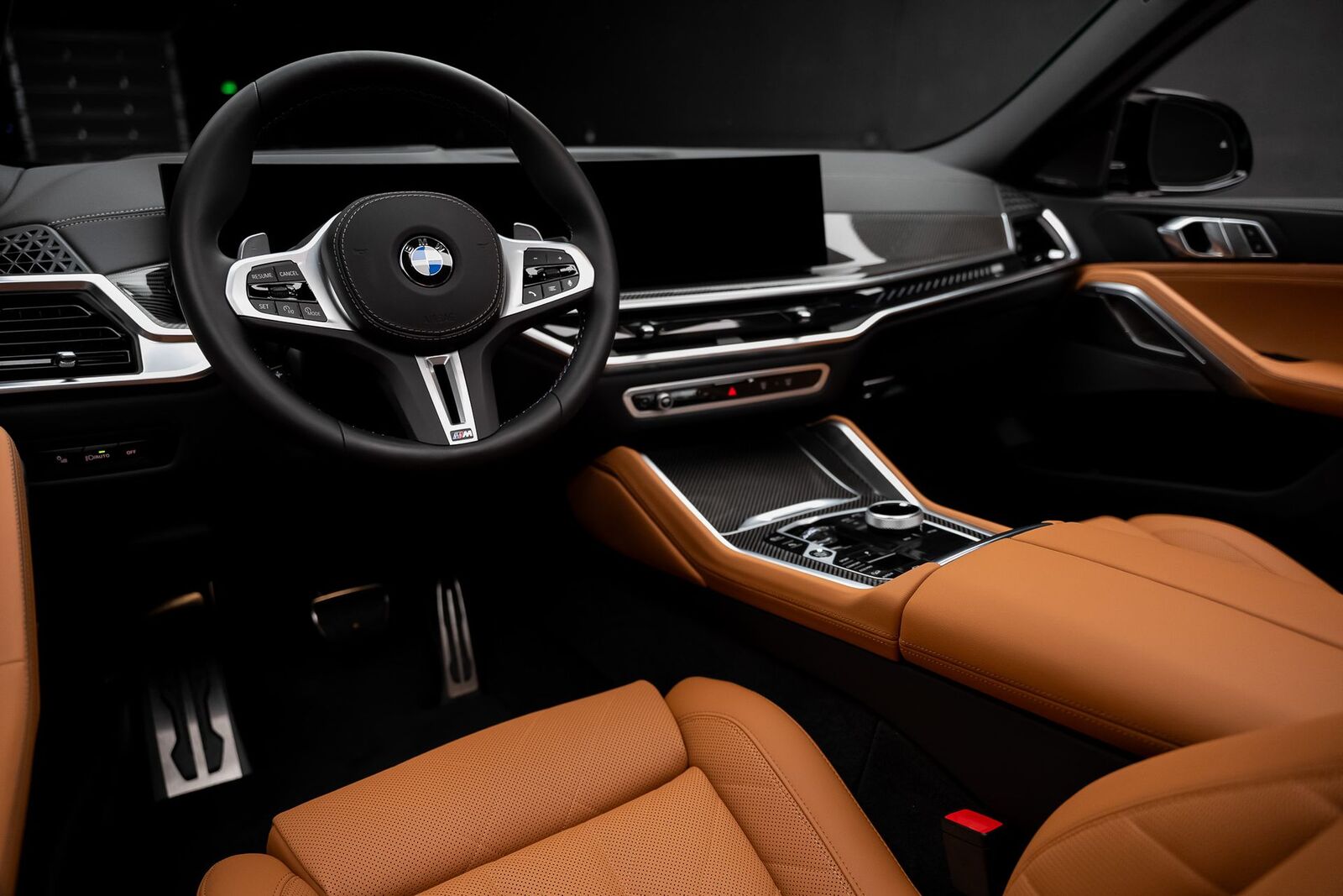 2026 BMW X6