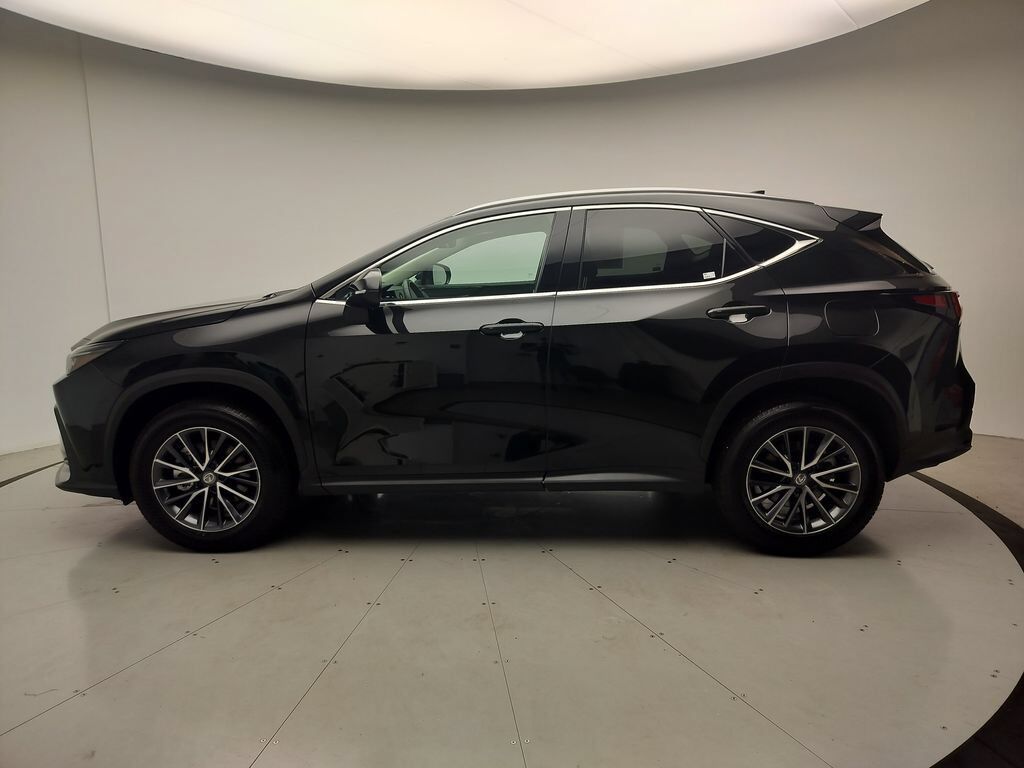 2026 Lexus NX