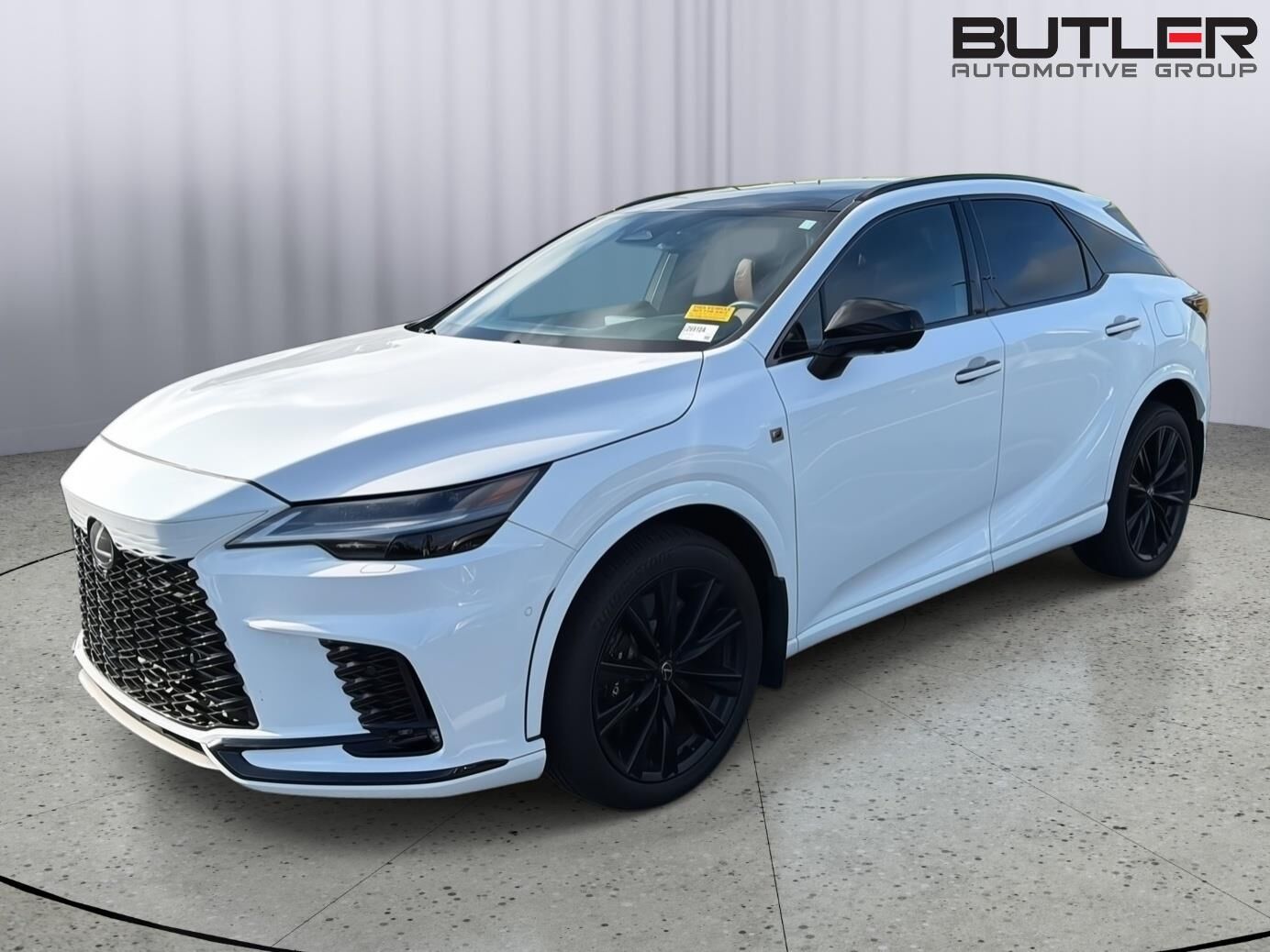 2024 Lexus RX
