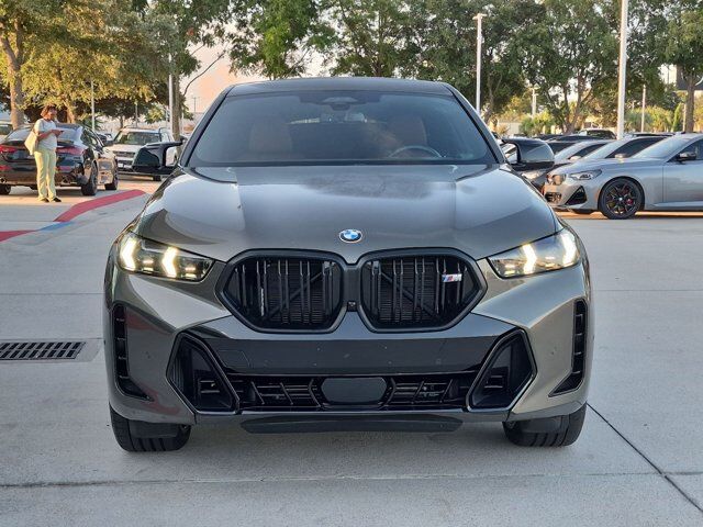 2025 BMW X6