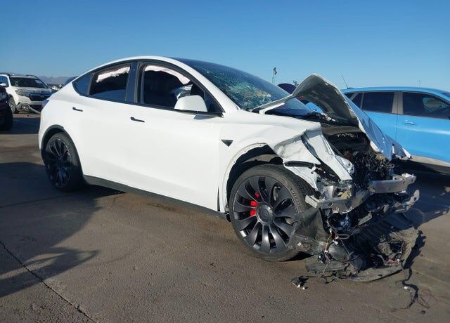 2023 TESLA Model Y