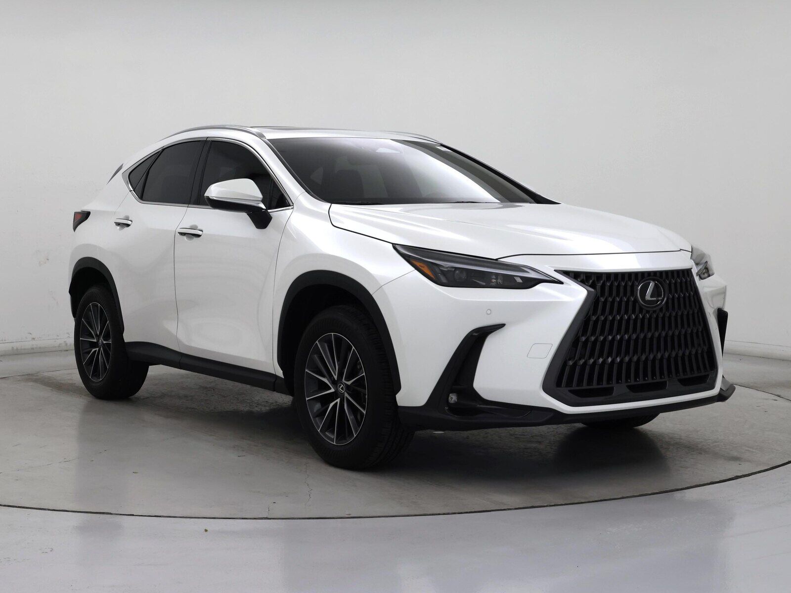 2025 Lexus NX