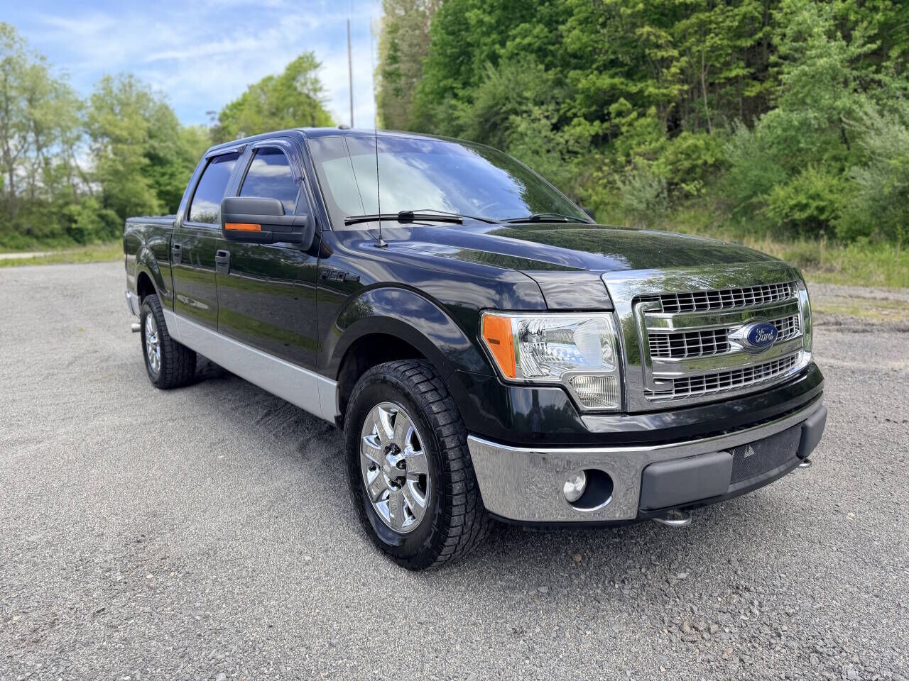 2013 FORD F-150