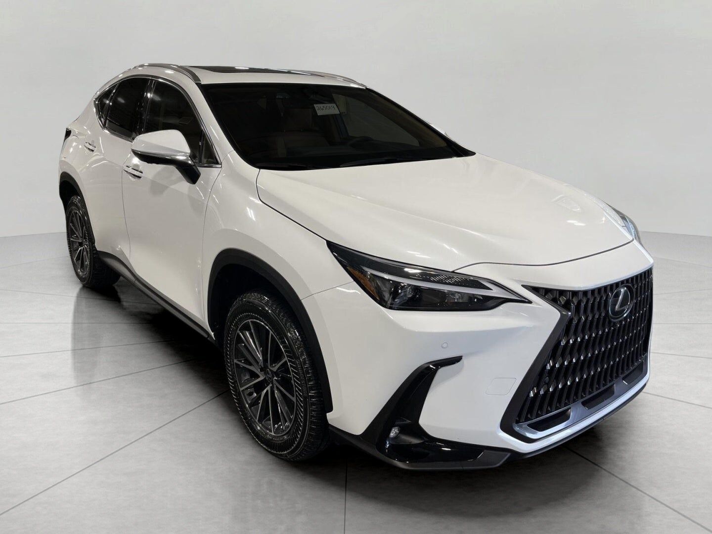 2026 LEXUS NX
