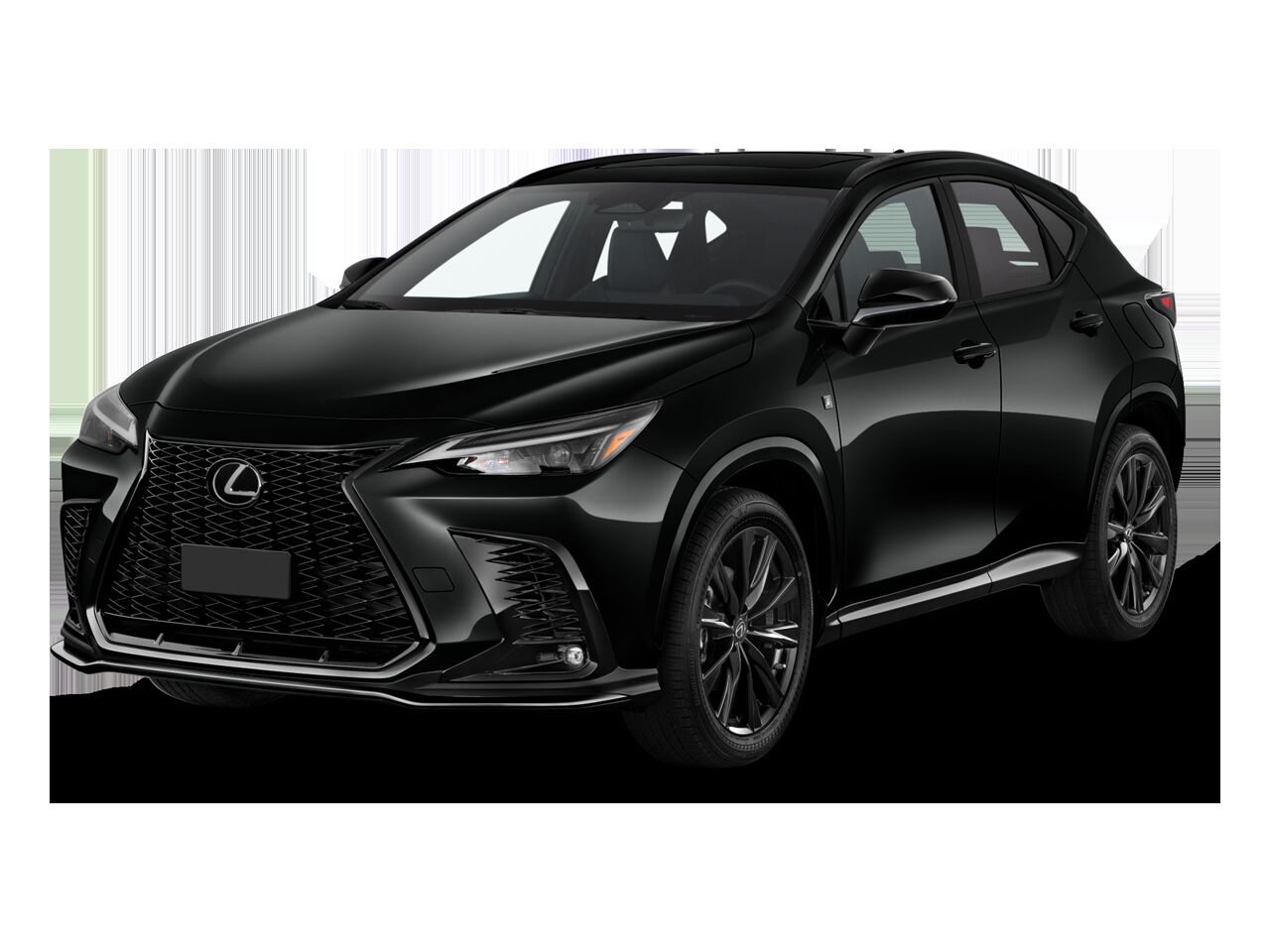 2024 Lexus NX