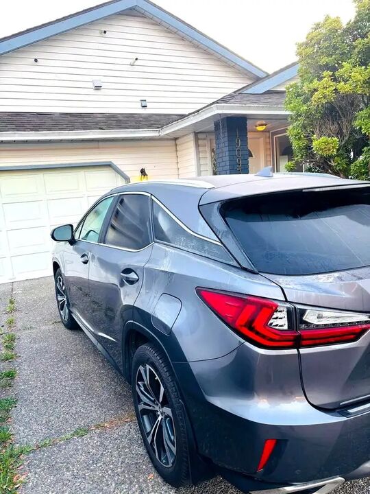 2019 Lexus RX