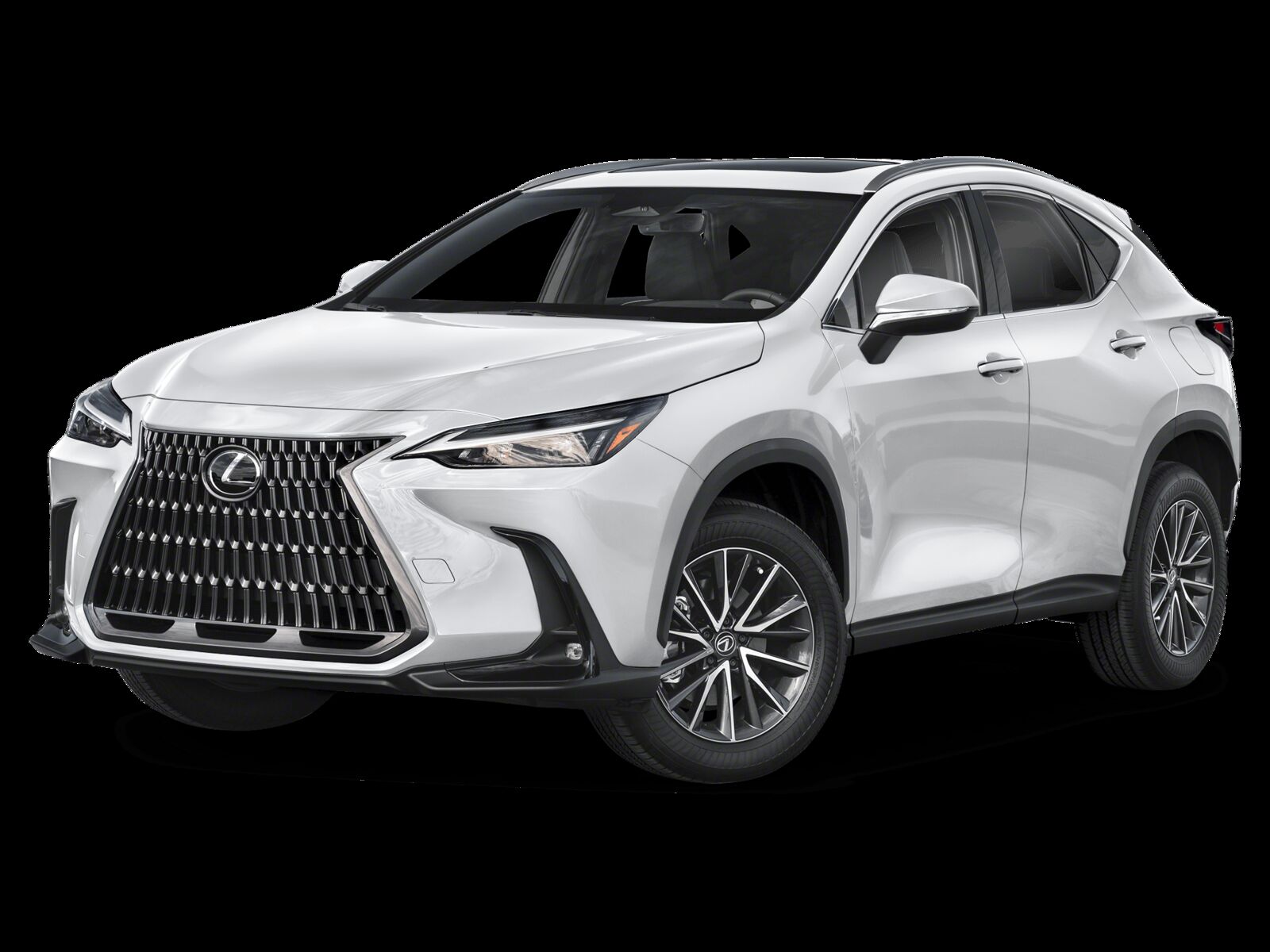 2025 LEXUS NX