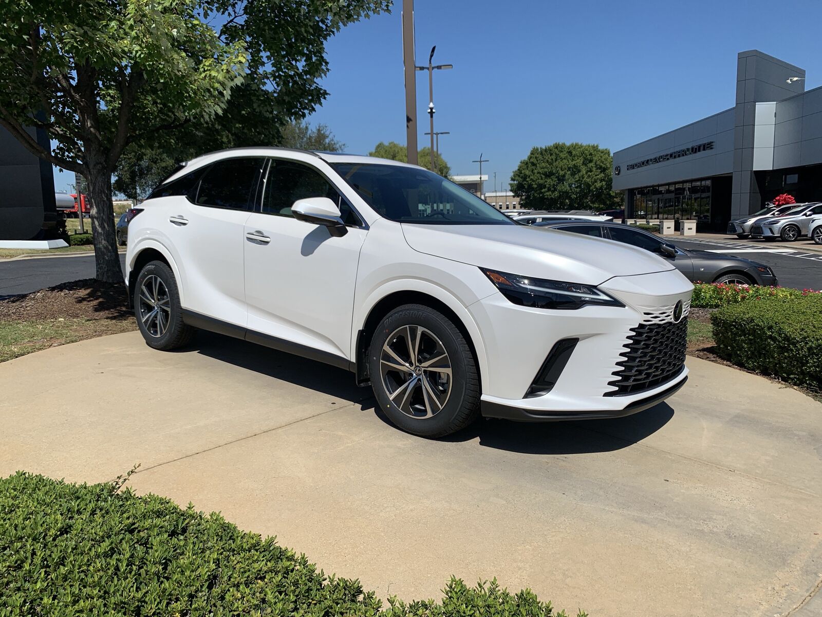 2024 Lexus RX