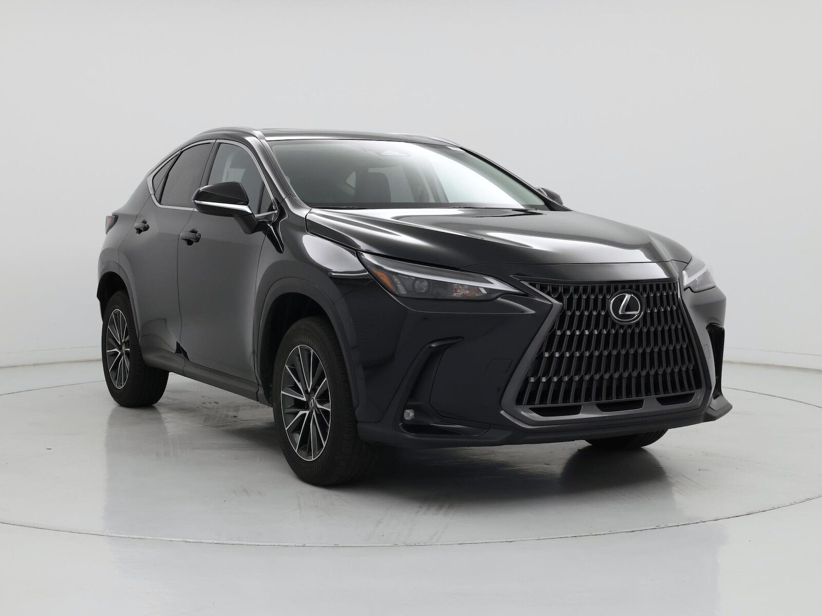 2024 Lexus NX