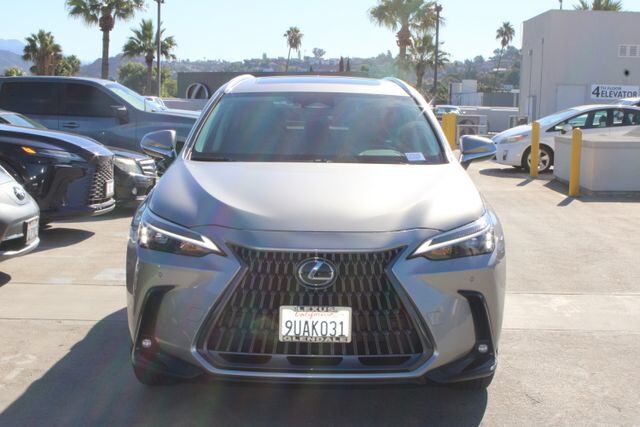 2025 Lexus NX
