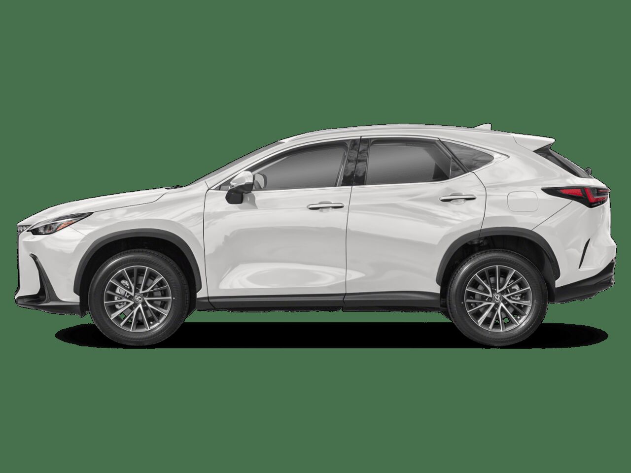 2024 Lexus NX